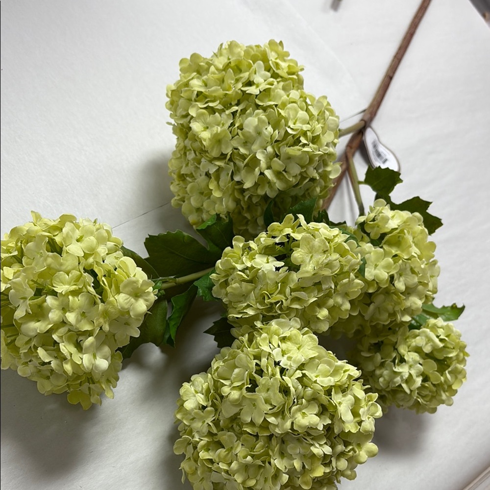 Elegant Green Floral Arrangement